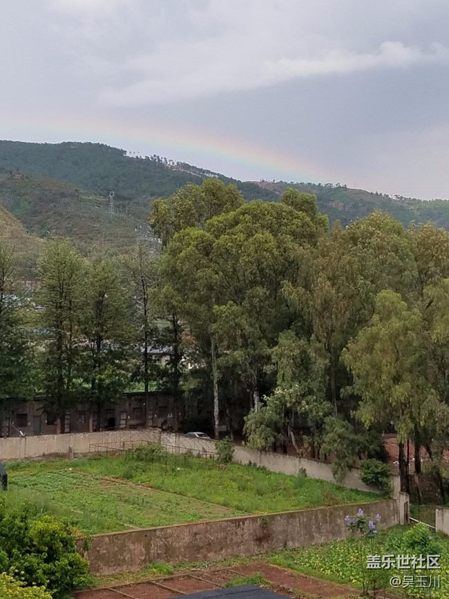 这个相机是不是出问题了，感觉远方的树放大变得好模糊