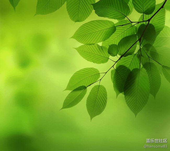 分享一张壁纸