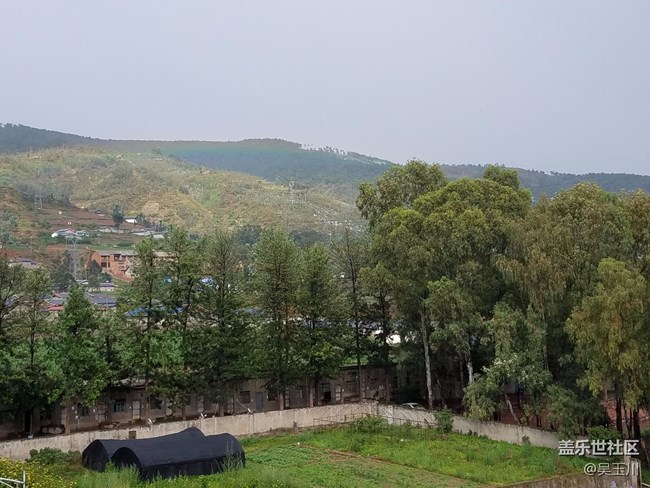 这个相机是不是出问题了，感觉远方的树放大变得好模糊