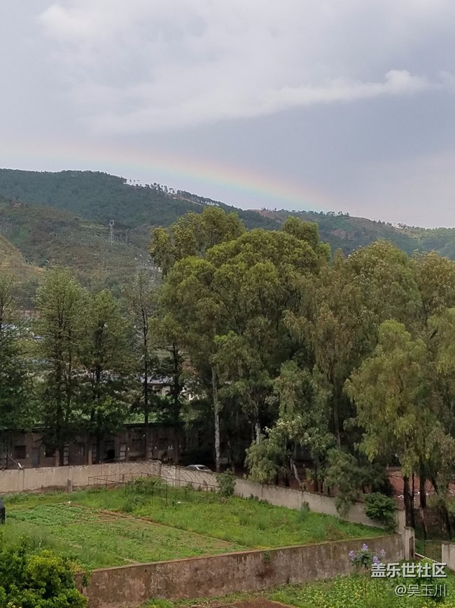 这个相机是不是出问题了，感觉远方的树放大变得好模糊