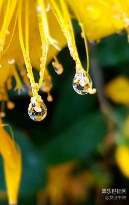 雨后镜头都变的清晰了