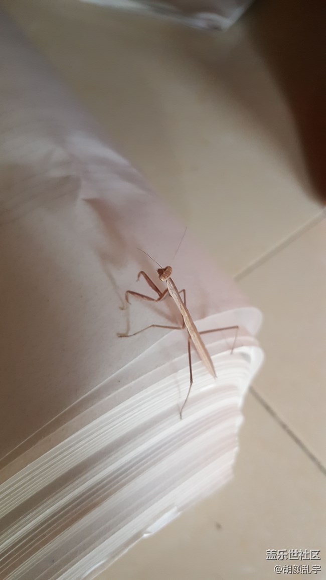 照片照的不咋地。