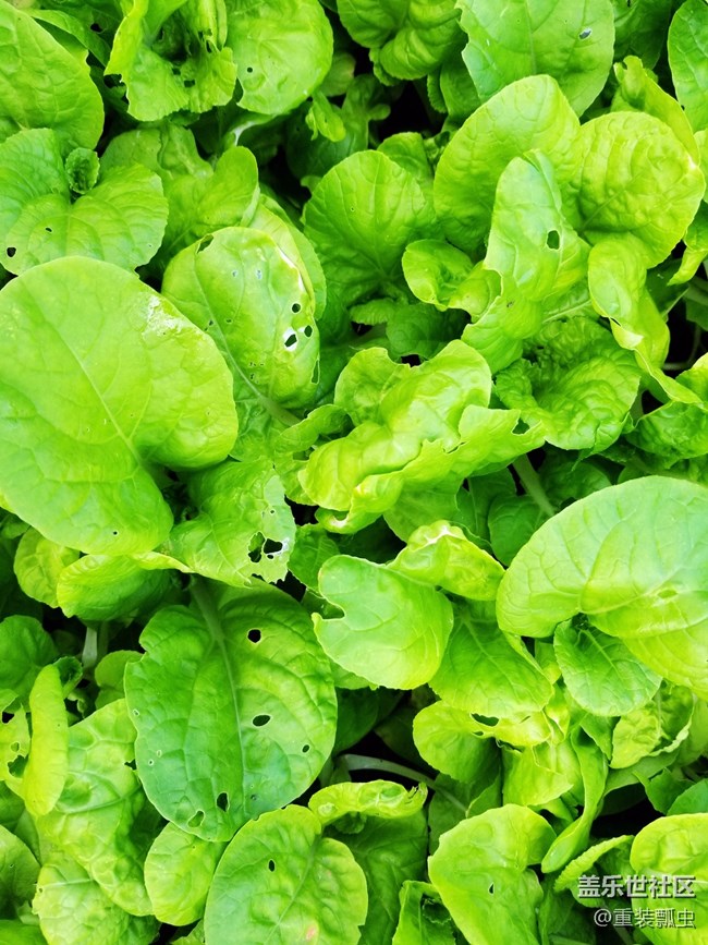 黑科技爆棚，三星S8把人机交互做到极致！