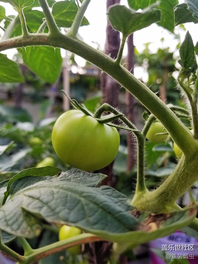 黑科技爆棚，三星S8把人机交互做到极致！