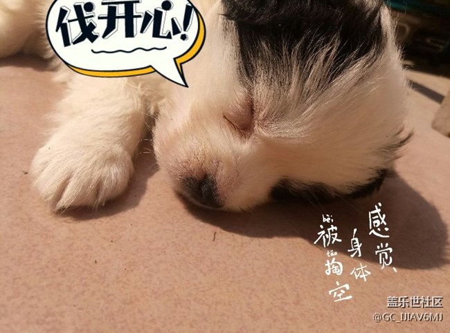 高人进贴解答，问题价值目测10元！*\(^o^)/*