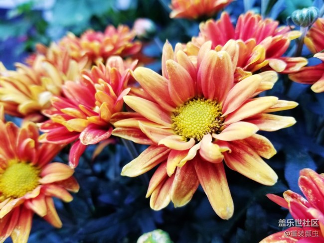 黑科技爆棚，三星S8把人机交互做到极致！