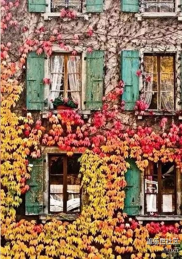 一首小诗，很美……