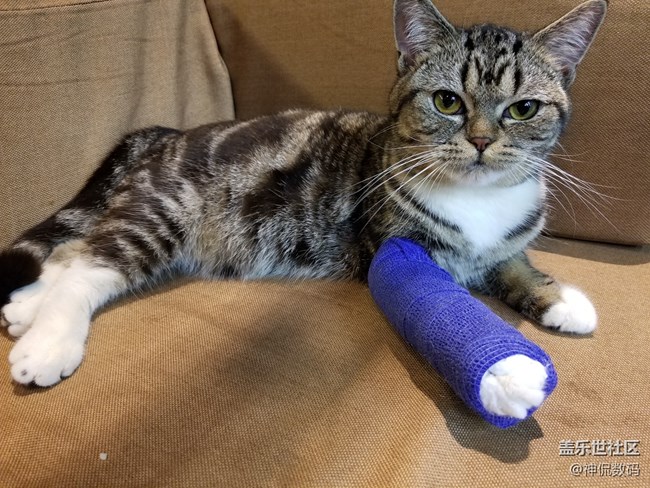 说他是安卓机皇没人有意见吧:国行 三星 Galaxy S8上手体验 说他是安卓机皇没人有意见吧:国行 三星 Galaxy S8上手体验