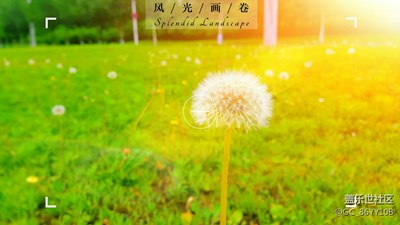 随拍一张