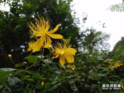 随拍