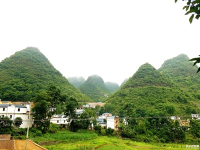 山峰，生态