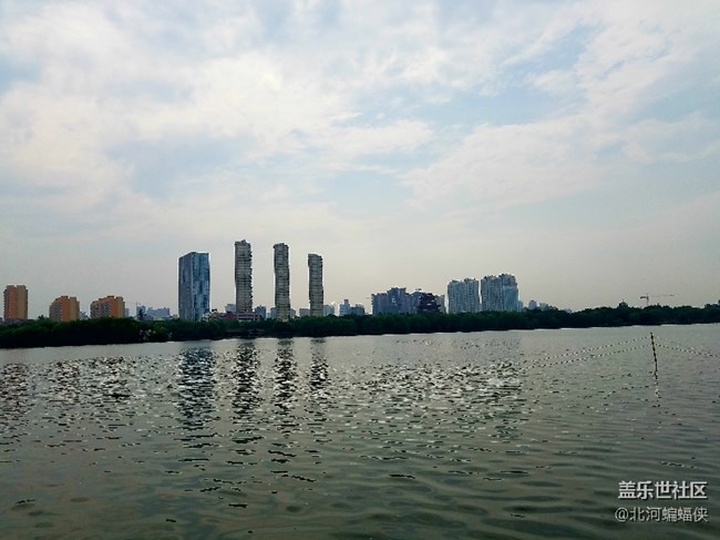 今天成功预测更新，说说我的体验