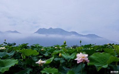 意境南湖