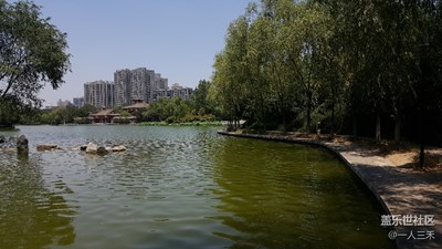丰庆公园随拍
