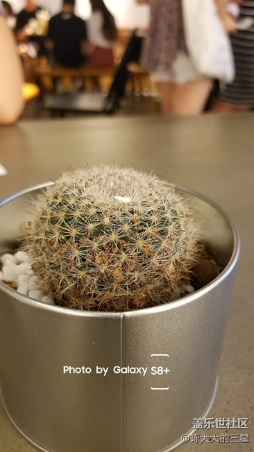 加了水印以后的s8+拍照效果，看看咋样