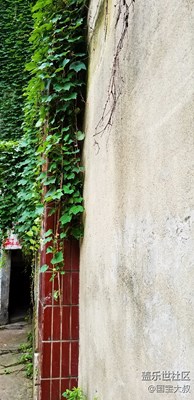 题名：《庭院深深》