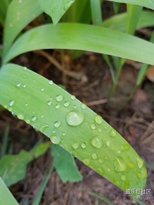 雨后