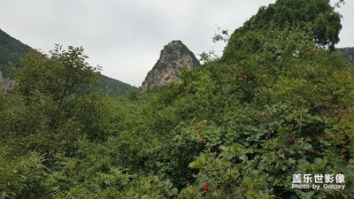 河南云台山青龙峡