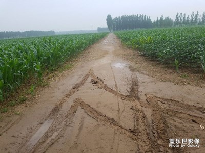 雨后魅力乡村