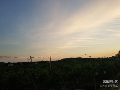 夏日时光