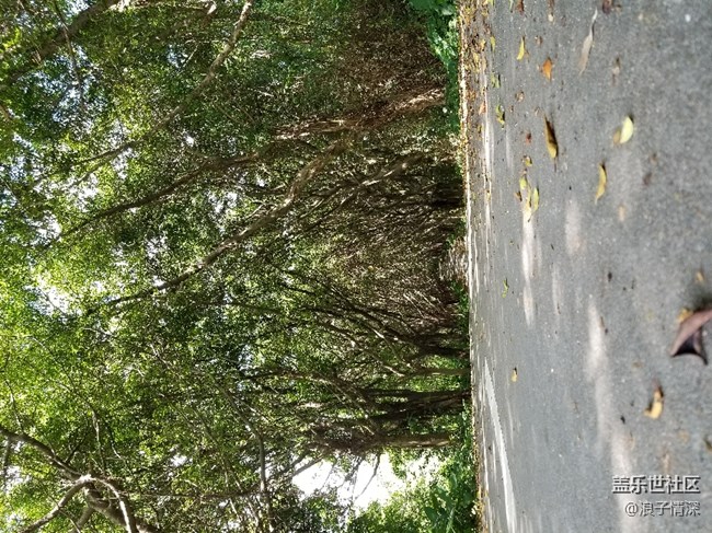 移动定制版拍照疑问