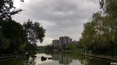 阴雨天下的丰庆公园