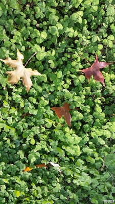 【上帝之眼】+大千世界