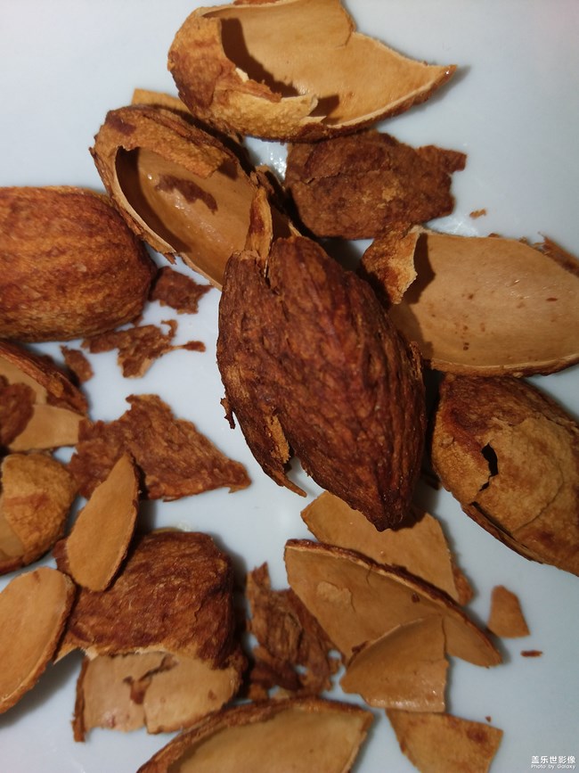 吃货的日常晒食儿