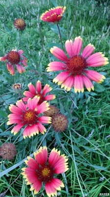 云淡风轻的日子 +秋高