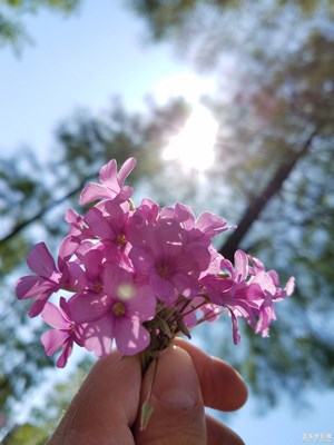 你好阳光