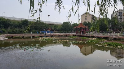童年的回忆，小学附近的花园