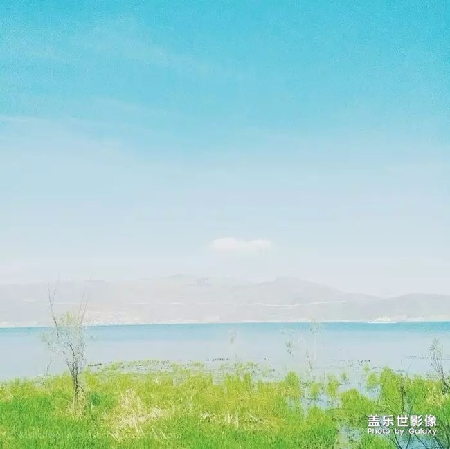 我喜欢这段话！