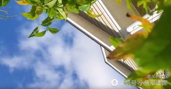 三星手机从飞机坠下,落地后完好无损,火了 三星手机从飞机坠下,落地后完好无损,火了