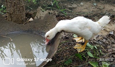 农家水生物一组