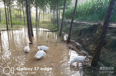 雨后