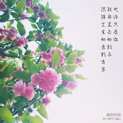 我深爱这生活