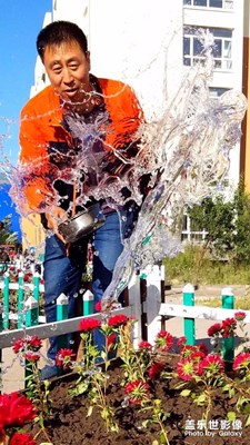 小区花园绿地工人