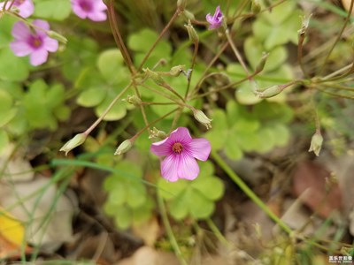 小小的我