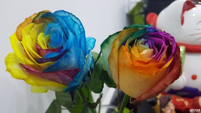 《致爱七夕》+玫瑰玫瑰我爱你
