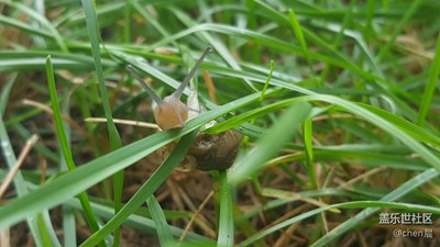 雨后