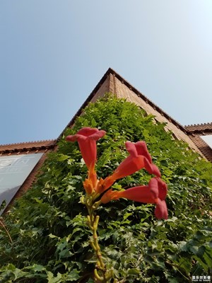 红砖美术馆2
