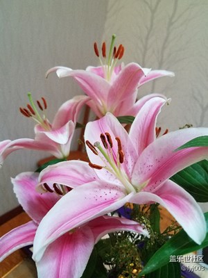 花