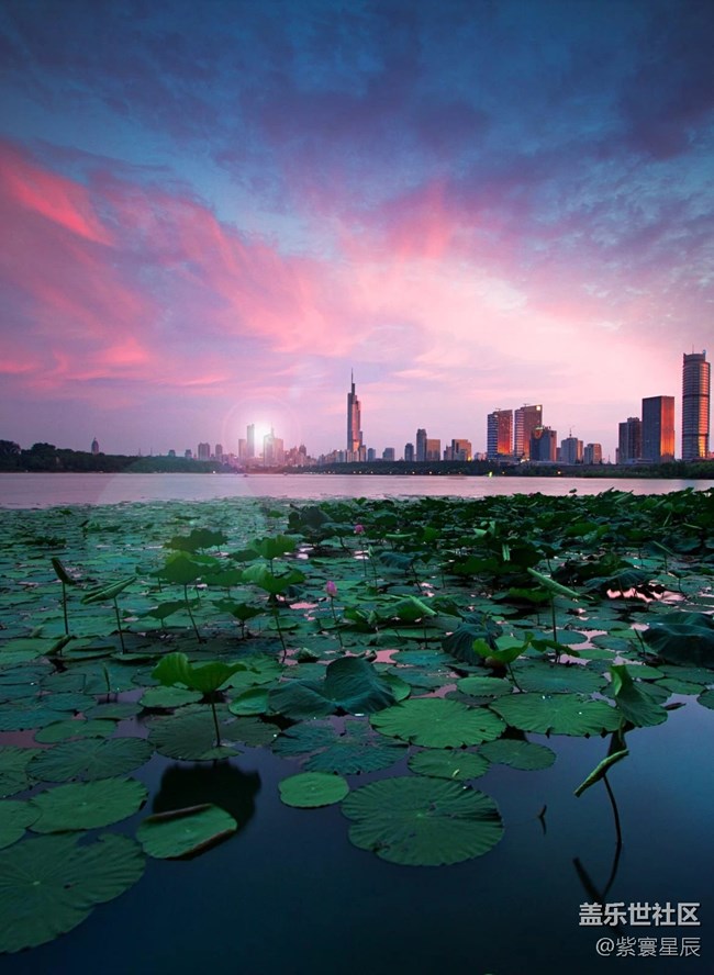 很久前拍的南京风景