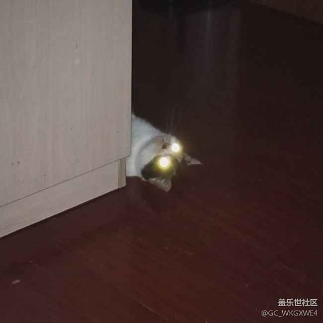 关于你们大家都想吃的奥利奥