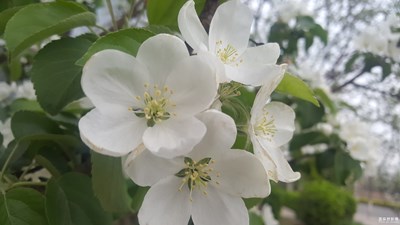 感觉没拍好，请大家指点