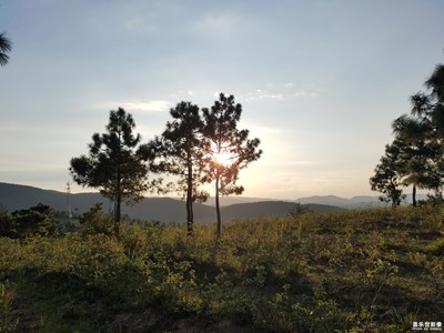 落日下的景色