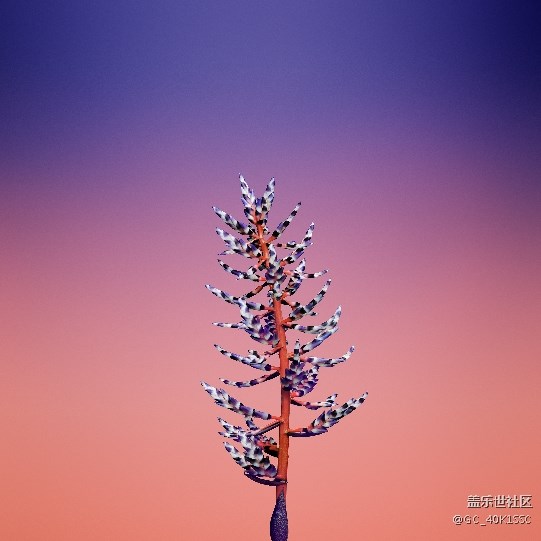 苹果8和苹果x高清壁纸