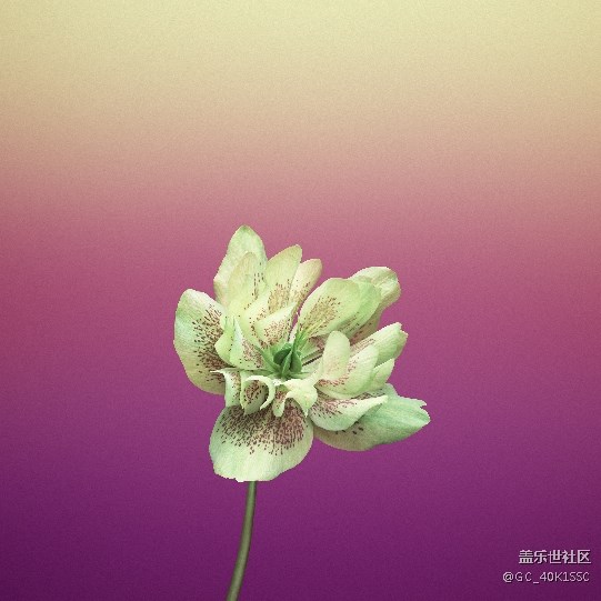 苹果8和苹果x高清壁纸 - 盖乐世社区 - 三星手机