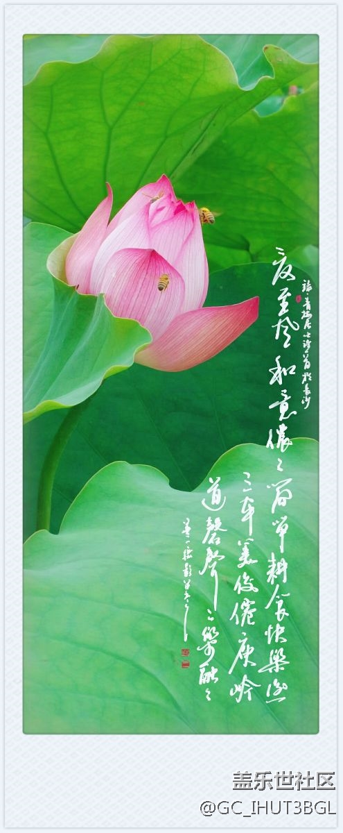 发几张本人用三星NOTE系列手机所拍的相片和书手的书法作品