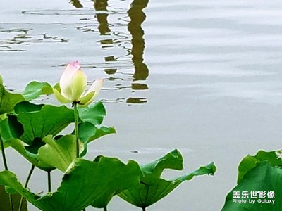 随拍